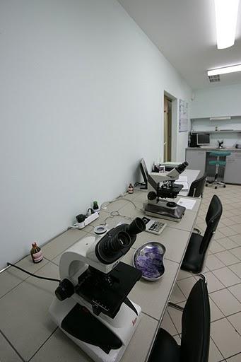 Laboratory Area - ISIDA Clinic