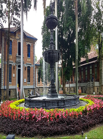 Hospital Universitario de San Vicente Fundación