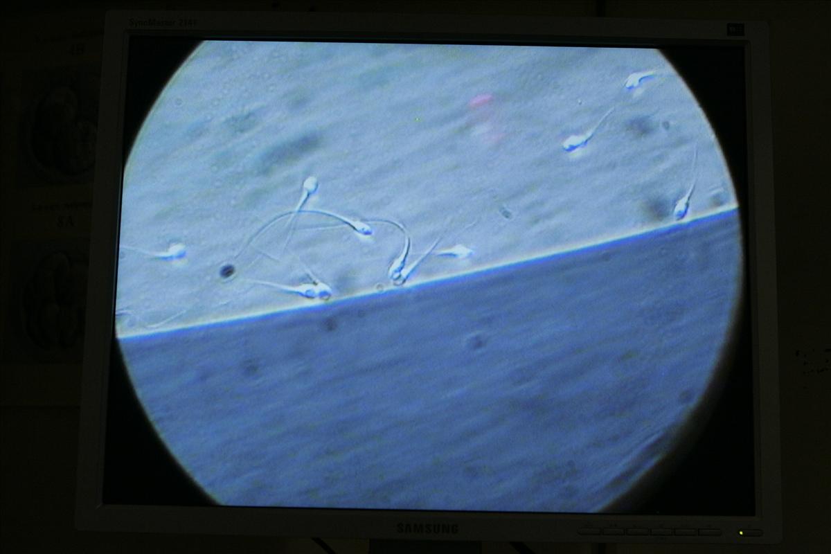 Altravita - AltraVita