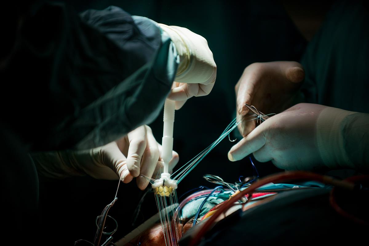 American Heart of Poland