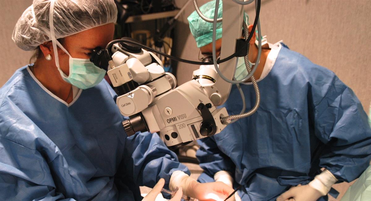 Institut Comtal d'Oftalmologia - Institut Comtal d'Oftalmologia