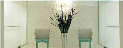 Transmed: Hair restoration and cosmetic surgery