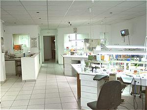 Laboratory 2 - Clinica Dental Cap Negret
