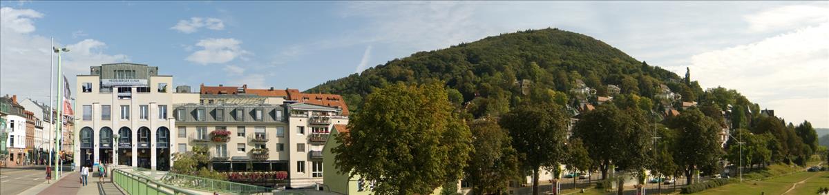 Proaesthetic Heidelberg