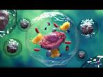 How Stem Cell Therapies Work ?