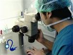 North Cyprus Fertility Clinic