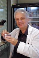 Prof. Israel Vlodavsky, Ph.D