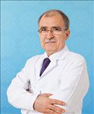 Prof. Dr. Huseyin Oz
